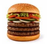 MEGA BURGER