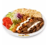 CHICKEN SHISH + DONER